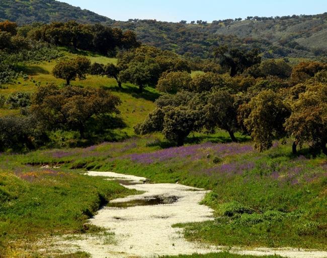 El aire de Extremadura, seña de identidad y Patrimonio Natural