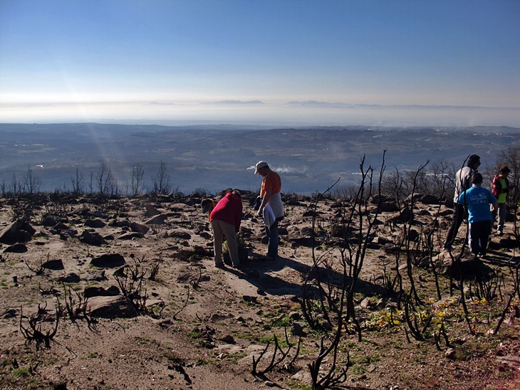 Las Hurdes, primera zona de actuación del programa Plantabosques 2016