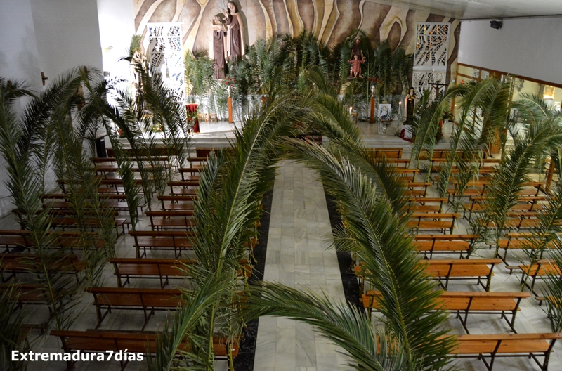 Un centenar de hojas de Palmera visten la Parroquia de Santa Teresa de Jesús