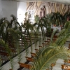 Un centenar de hojas de Palmera visten la Parroquia de Santa Teresa de Jesús