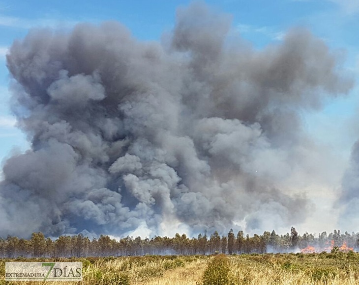 Un incendio en Bótoa amenaza varias viviendas