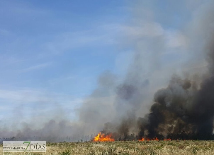 Un incendio en Bótoa amenaza varias viviendas