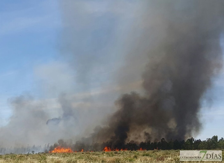 Un incendio en Bótoa amenaza varias viviendas