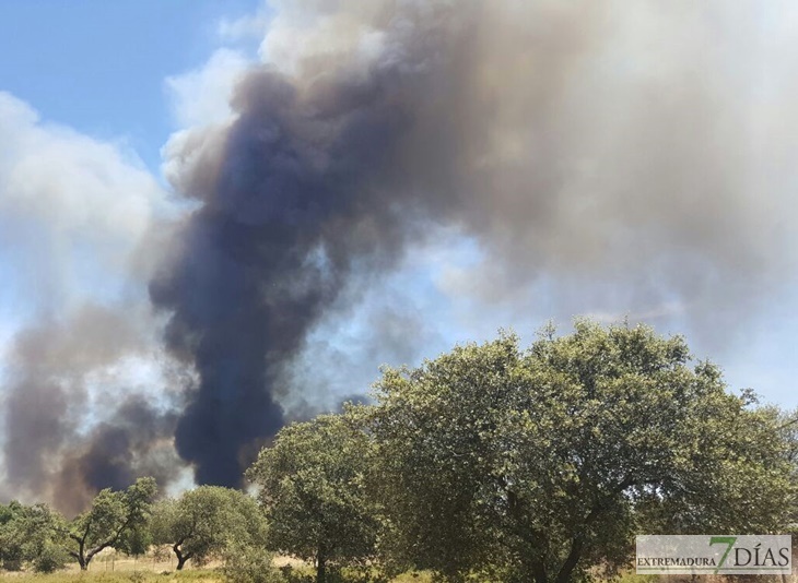 Un incendio en Bótoa amenaza varias viviendas