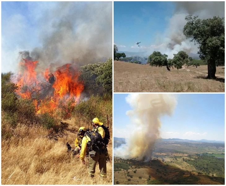 Estabilizado el incendio de Portaje (Cáceres) tras quemar 143 hectáreas