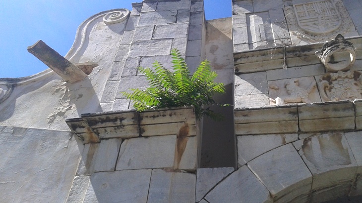 Puerta Pilar, ante un abandono endémico