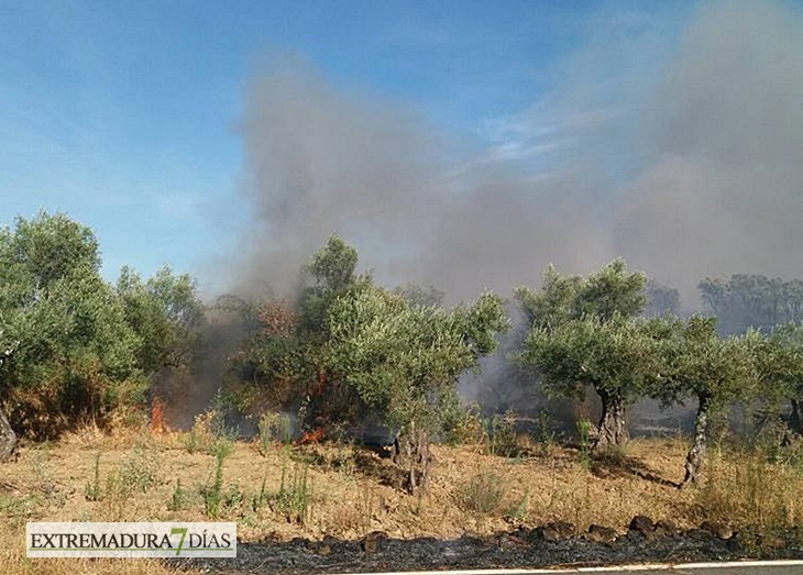 El Infoex declara el Nivel 1 en un incendio en Guijo de Galisteo