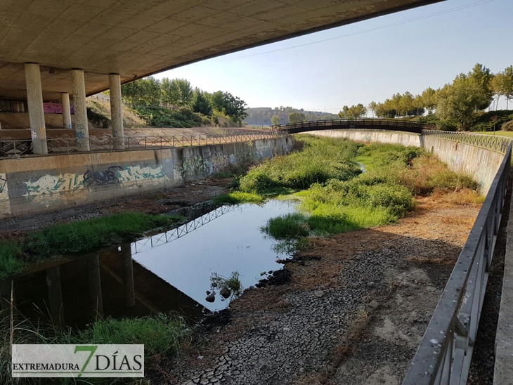 ¿Tiene que ocurrir otra riada para que limpien el Rivillas?