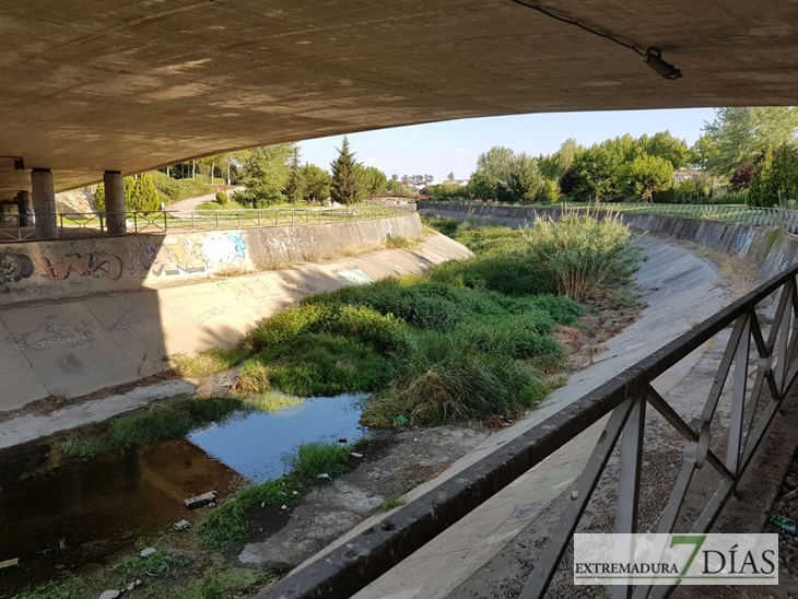 ¿Tiene que ocurrir otra riada para que limpien el Rivillas?