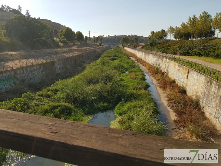 ¿Tiene que ocurrir otra riada para que limpien el Rivillas?