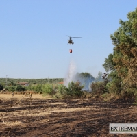 Imágenes del incendio cerca de Mérida