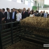 Imágenes de la inauguración de la Feria de Zafra 2016