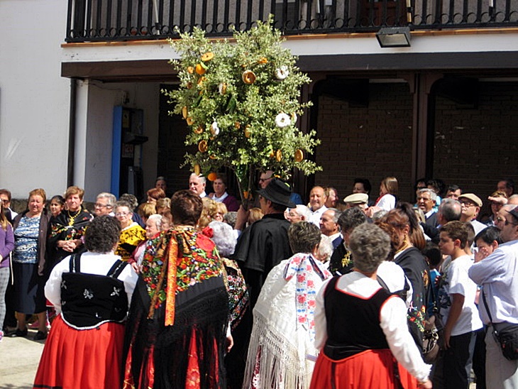 &#39;La Fiesta del Árbol&#39; a un paso de ser Bien de Interés Cultural