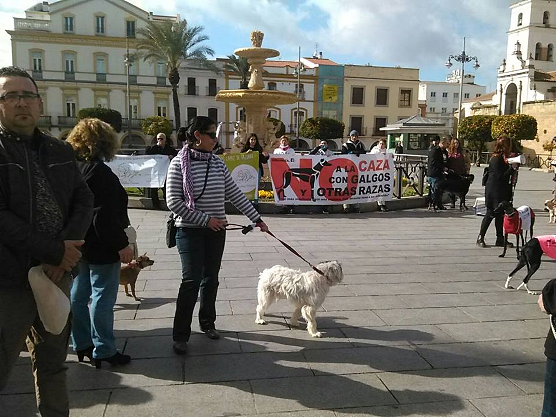 Manifestación contra la caza con galgos