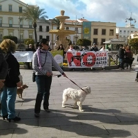 Manifestación contra la caza con galgos en Mérida