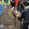 Badajoz homenajea a las víctimas del terrorismo