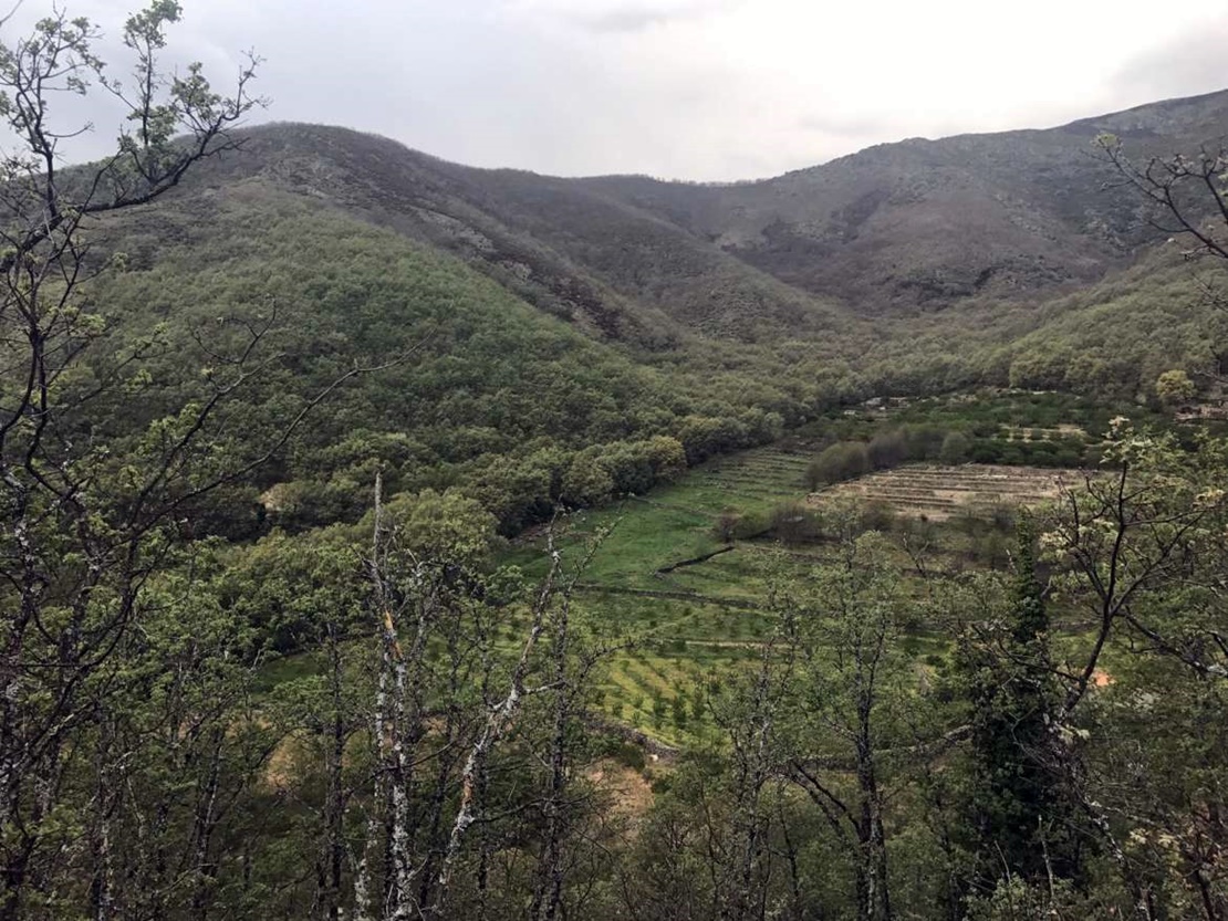 Controlados los incendios de Jerte y Tornavacas