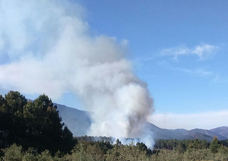 Nivel 1 de peligrosidad por un incendio forestal en Sierra de Gata