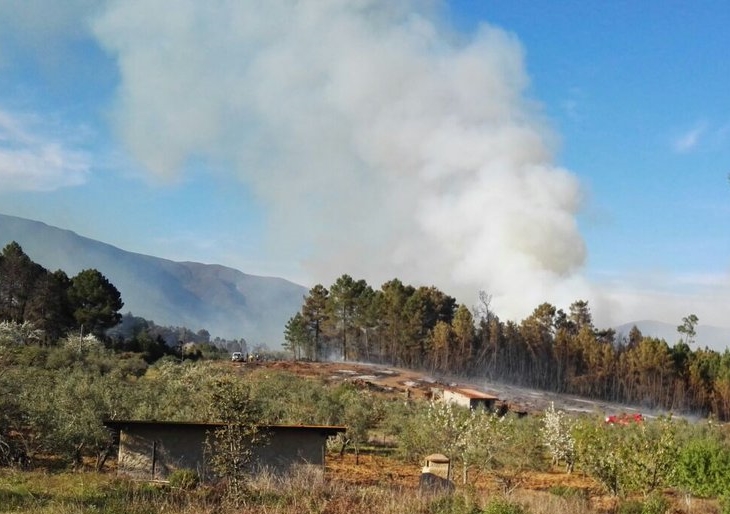 Nivel 1 de peligrosidad por un incendio forestal en Sierra de Gata