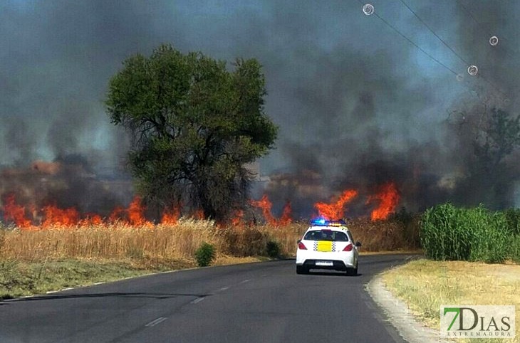 La Época de Peligro Medio de incendios forestales comienza hoy