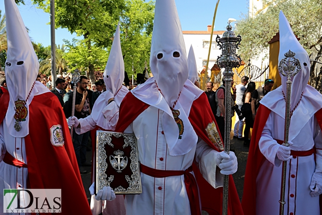 Imágenes - Procesión de la Borriquita en Badajoz