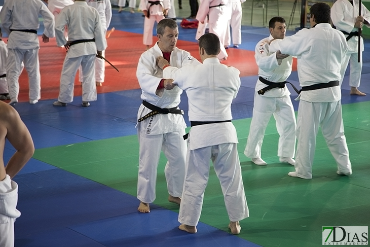 Extremadura consigue dos medallas en el nacional de Kata