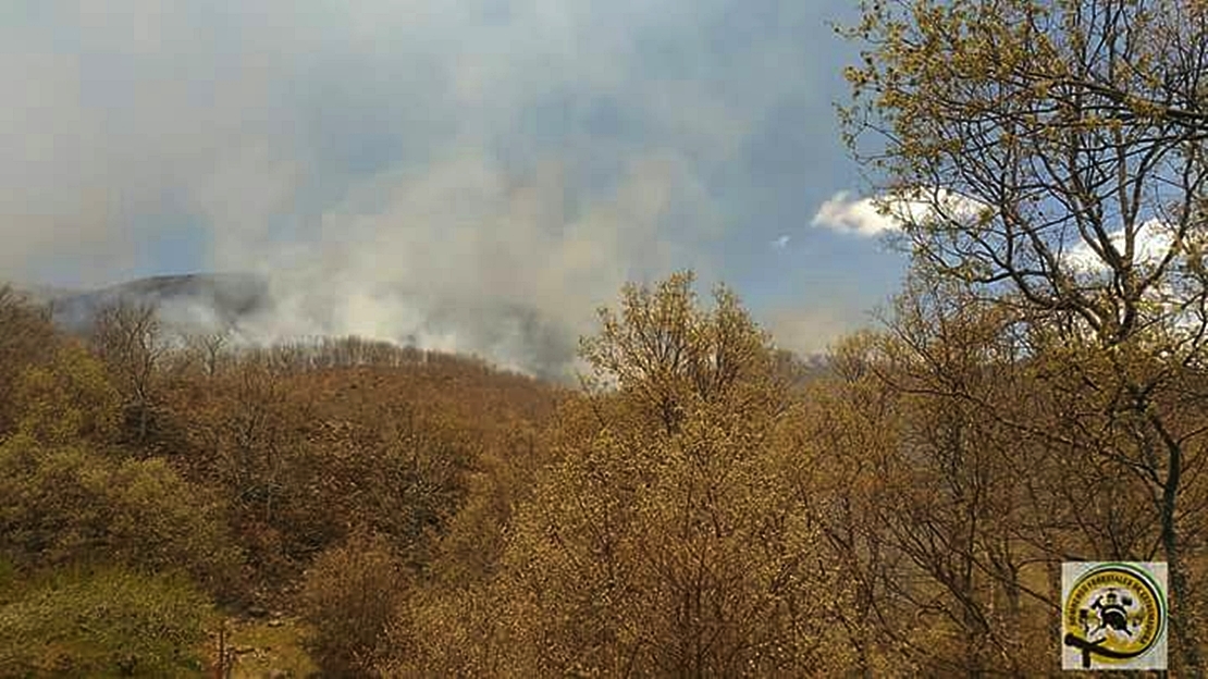 Declarado otro incendio próximo al del Jerte, que continúa activo