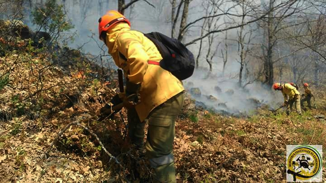 Varios retenes luchan por sofocar el incendio en Garganta de los Papuos (Jerte)