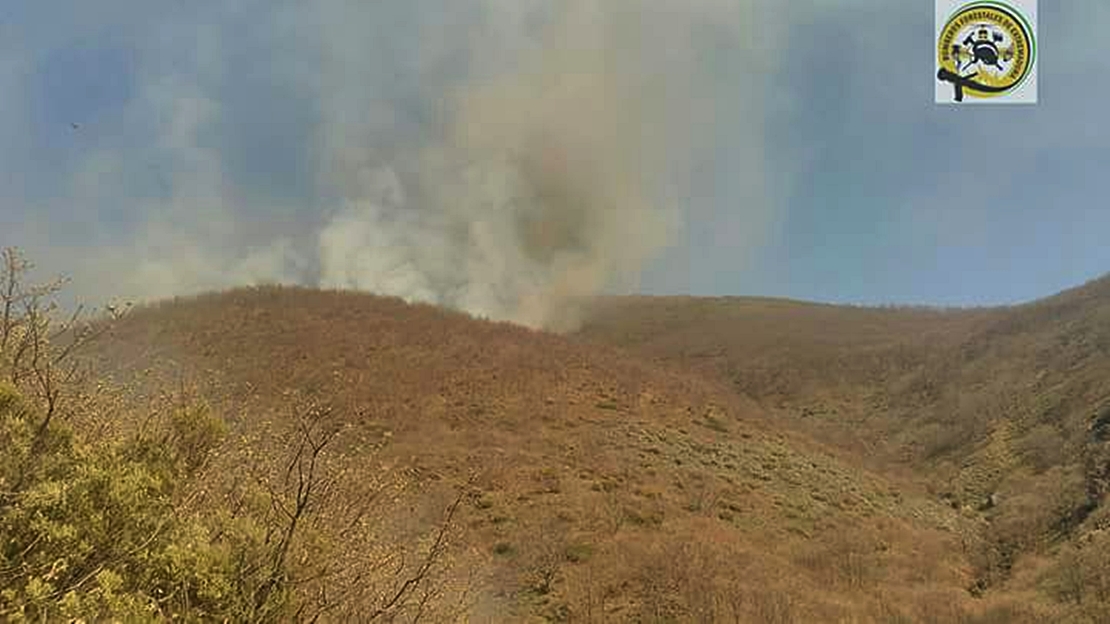 Varios retenes luchan por sofocar el incendio en Garganta de los Papuos (Jerte)