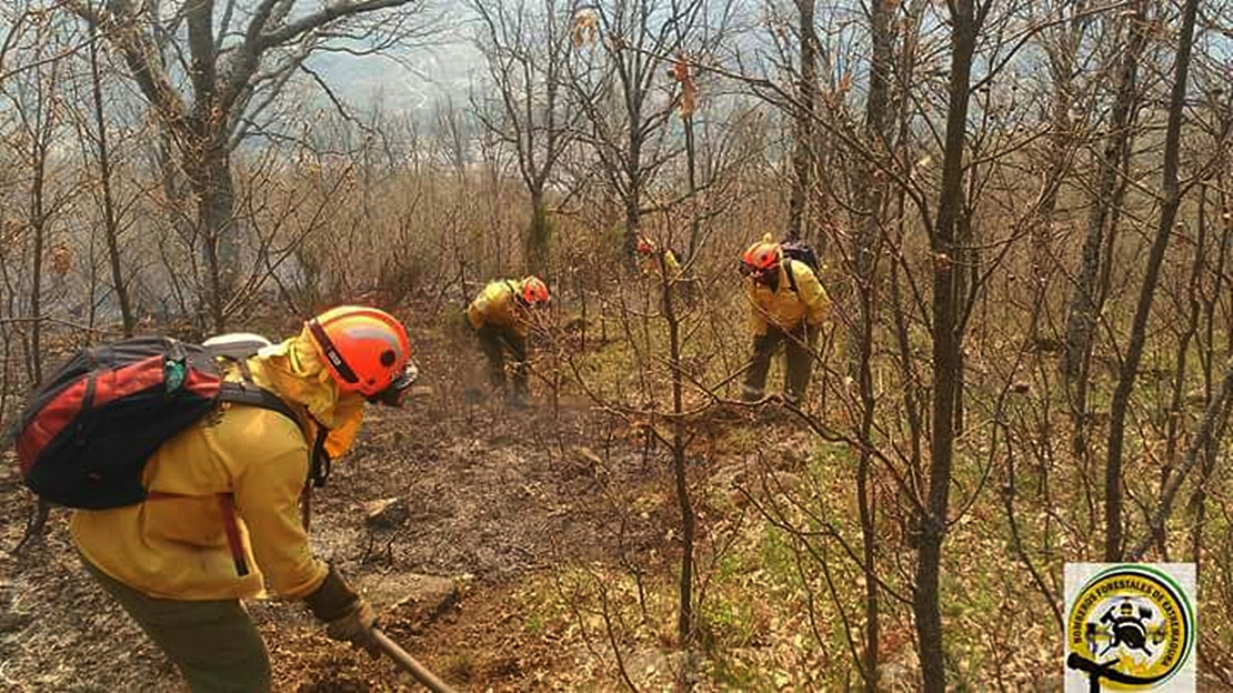 Varios retenes luchan por sofocar el incendio en Garganta de los Papuos (Jerte)