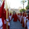 Miles de espectadores acuden a la procesión de La Burrita en Mérida