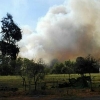 Nivel 1 de peligrosidad por un incendio forestal en Sierra de Gata