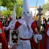 Imágenes - Procesión de la Borriquita en Badajoz