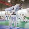 Extremadura consigue dos medallas en el nacional de Kata