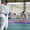 Extremadura consigue dos medallas en el nacional de Kata