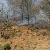 Varios retenes luchan por sofocar el incendio en Garganta de los Papuos (Jerte)