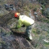 Varios retenes luchan por sofocar el incendio en Garganta de los Papuos (Jerte)