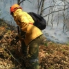 Varios retenes luchan por sofocar el incendio en Garganta de los Papuos (Jerte)