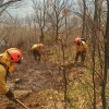 Varios retenes luchan por sofocar el incendio en Garganta de los Papuos (Jerte)