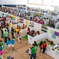 ‘Extremadura Territorio Creativo’ arranca con nueve eventos