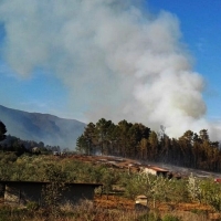 El INFOEX pide que se eviten los fuegos en el campo tras los últimos incendios