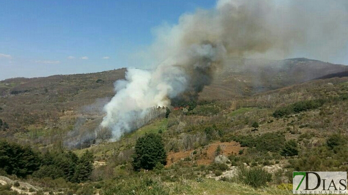 Incendio de importantes dimensiones en el Valle del Jerte