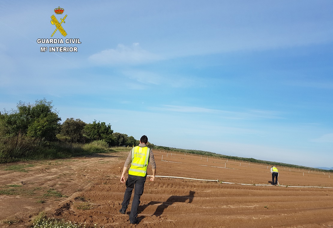 Cuatro personas detenidas por robar en fincas y naves industriales