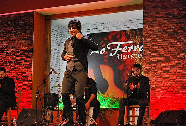 Mérida recibirá la Medalla de Oro del festival flamenco Lo Ferro