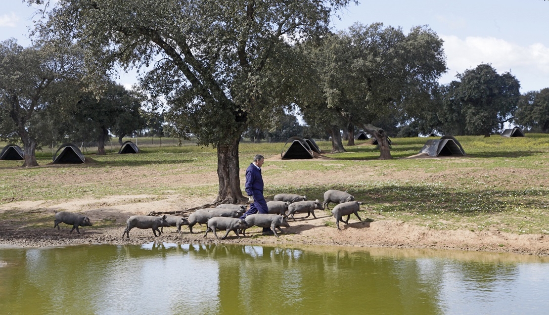 Medio Ambiente promueve la producción ecológica en espacios de la Red Natura