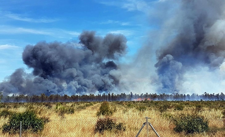 La Junta podrá actuar en montes privados para prevenir incendios