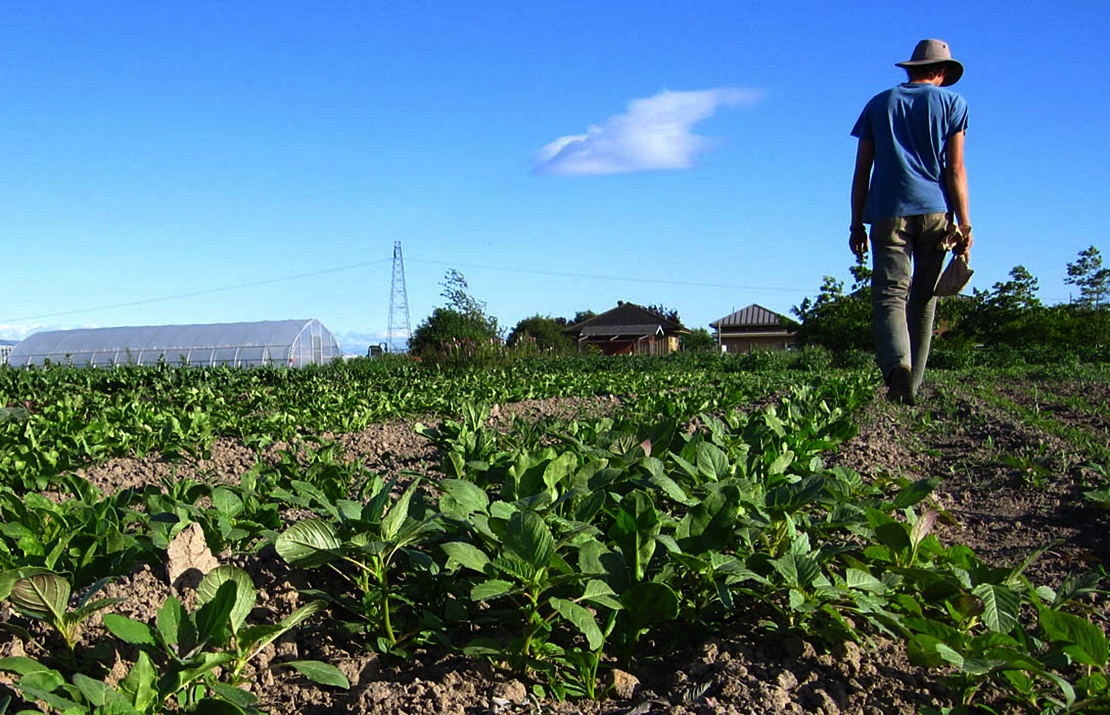 La Junta regula el funcionamiento del Registro de Explotaciones Agrarias