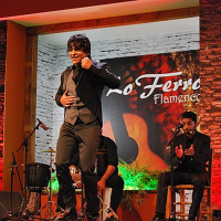 Mérida recibirá la Medalla de Oro del festival flamenco Lo Ferro