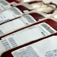 Extremadura, siete puntos por encima de la media en donación de sangre