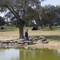 Medio Ambiente promueve la producción ecológica en espacios de la Red Natura